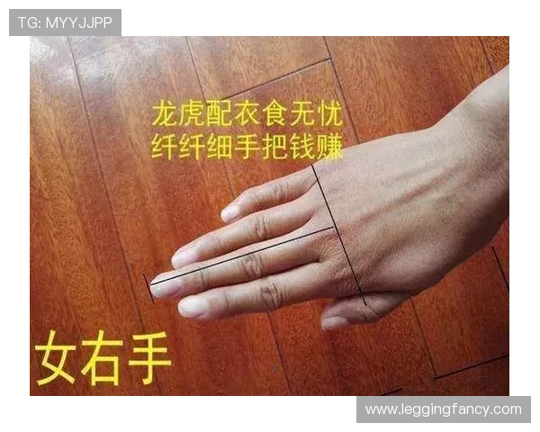掌握视讯龙虎的投注技巧提升获胜几率实现财富增值
